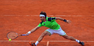 David_Ferrer_Roma_