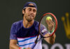 Paolo Lorenzi International tennis series