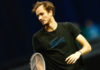 ATP Rotterdam Daniil Medvedev